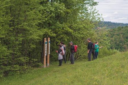 OTVORITEV POTI_VETRNIK_22.5.2021_HQ-27